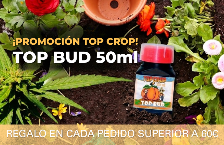 TOP CROP